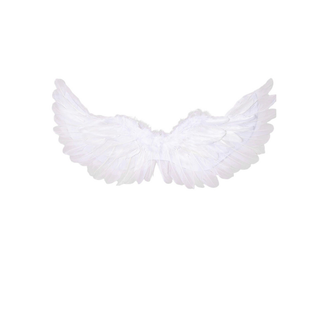 White Angel Wings