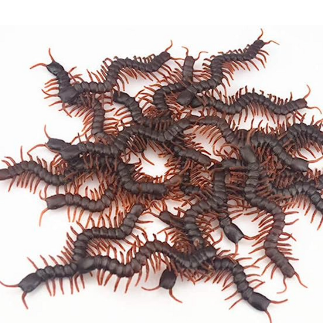 Insects Fake Halloween Centipede -24ct