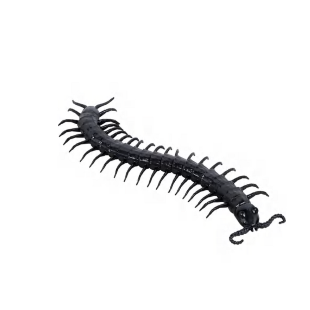 Black Centipede Halloween Party Favor