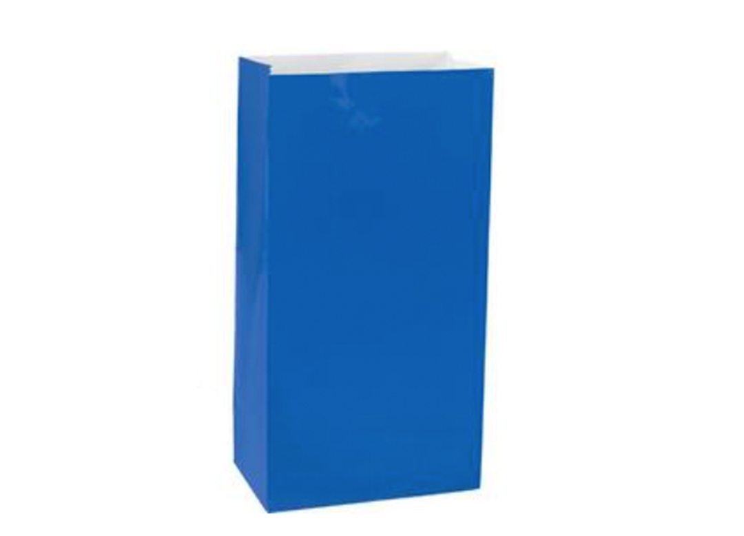 Blue Paper Treat Bags, 10 Count