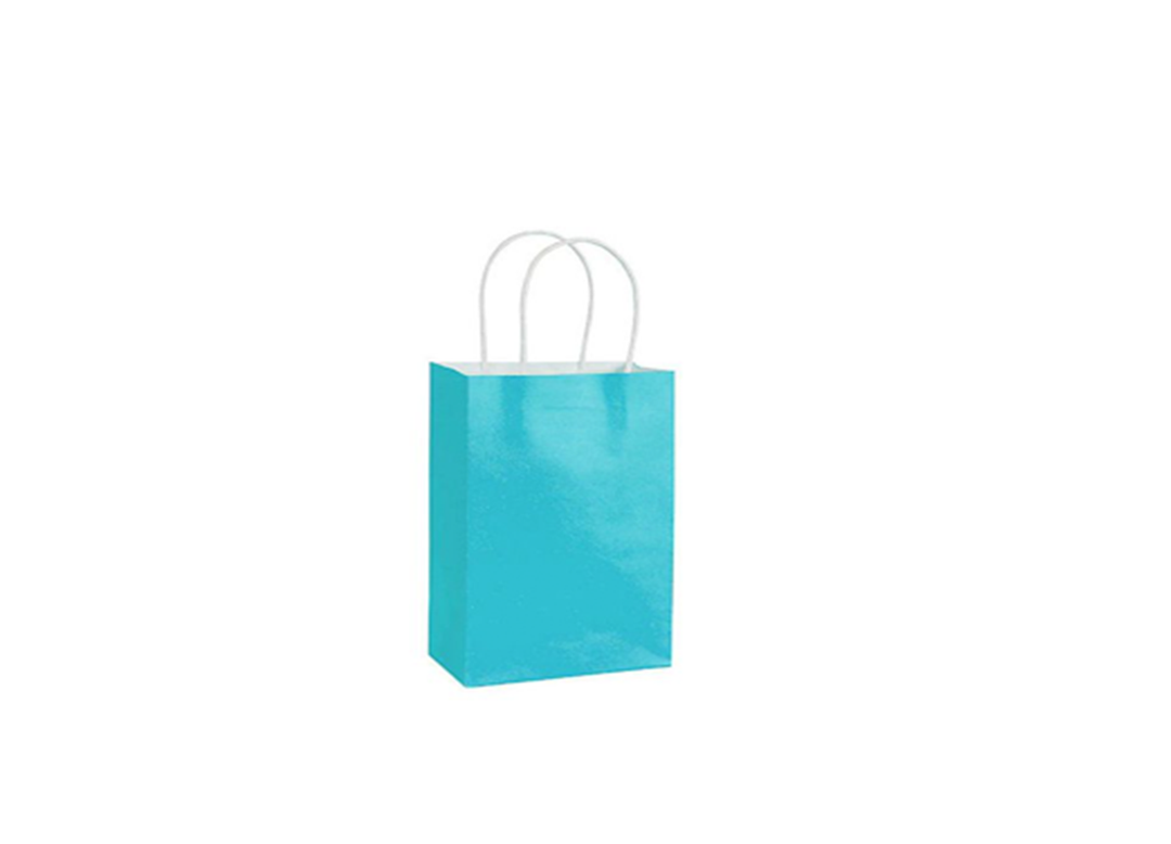 Turquoise Paper Party Favor Gift Bag with Handles - 12 ct
