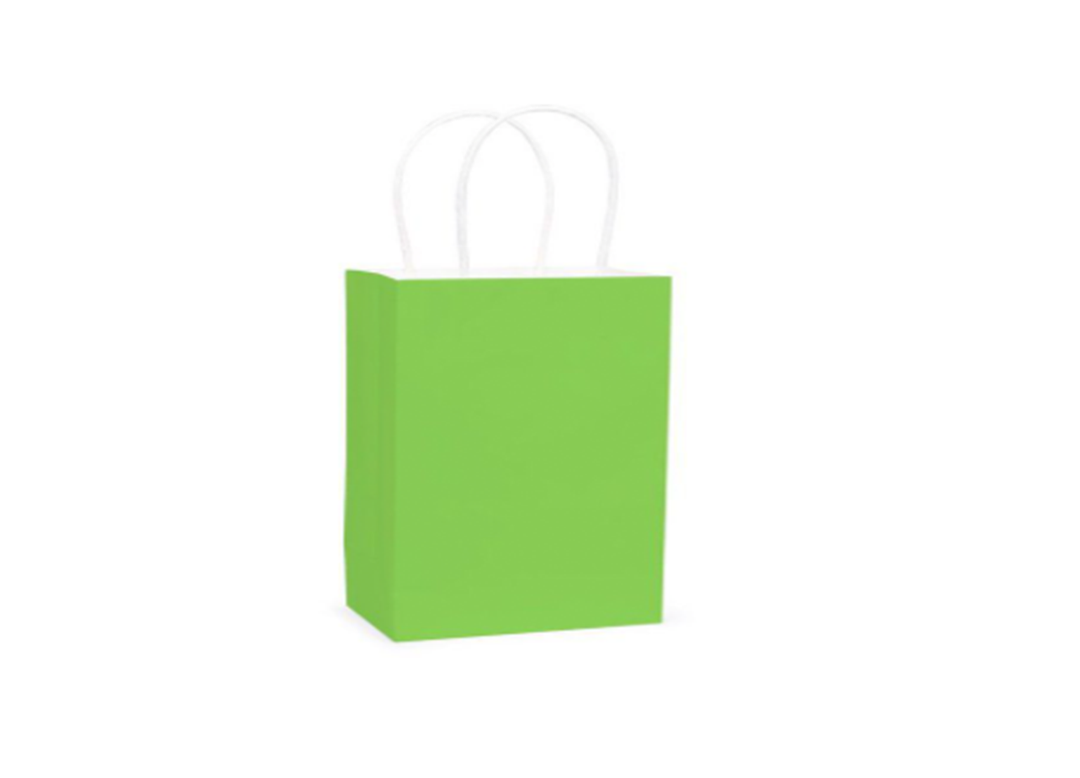 Kiwi Paper Party Favor Gift Bag with Handles - 12ct