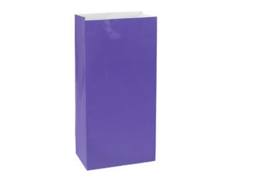 Purple Paper Treat Bags, 10 count