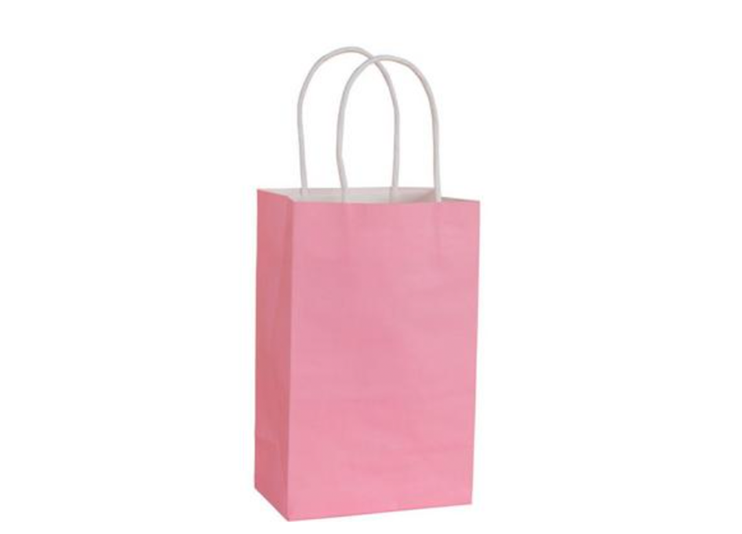 Pink Small Kraft Paper Bag 12 ct