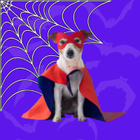 Dog Costumes